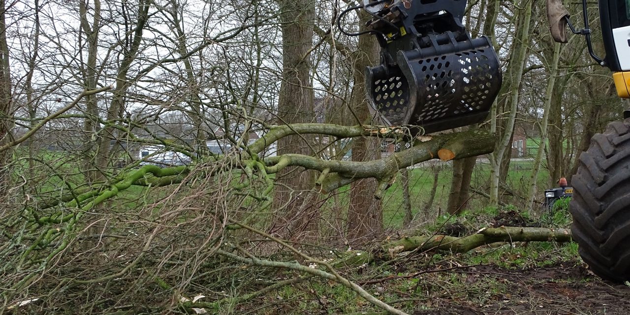 Verrassende samenwerking natuurbeschermings- vereniging en AMBC