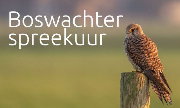 Boswachter  spreekuur  voorjaarsvakantie in Veldschuur