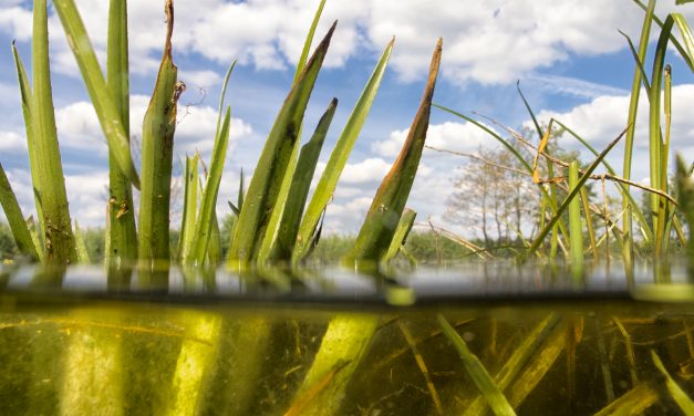 Waterpeilen boven maximum om kostbaar water niet te verliezen