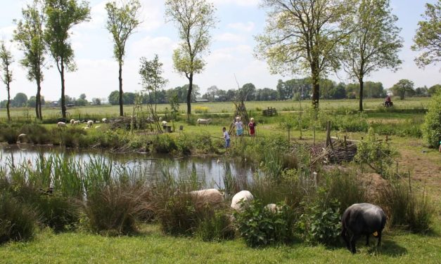 Veldschuur zet deur weer op een kier