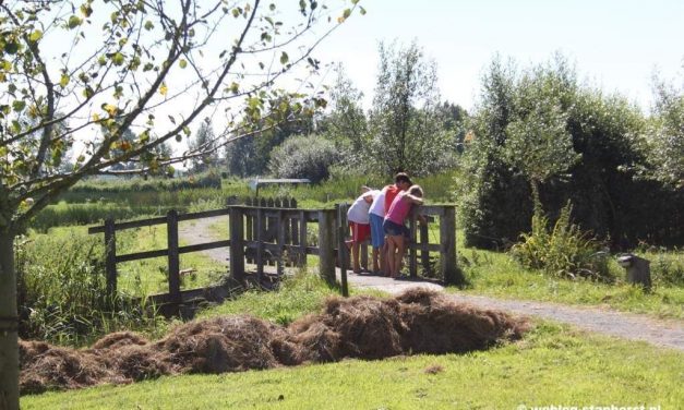 Veldschuur start met 3 kleinschalige kindermiddagen in zomervakantie