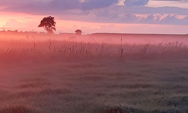 Bijzondere zonsondergang met mist