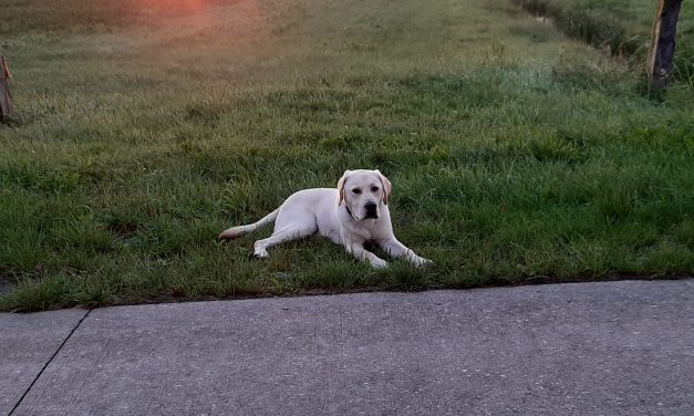 Een boog in de wolken