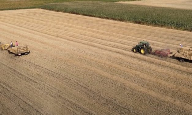 Strobalen stapelen in de warmte, respect! (drone filmpje)