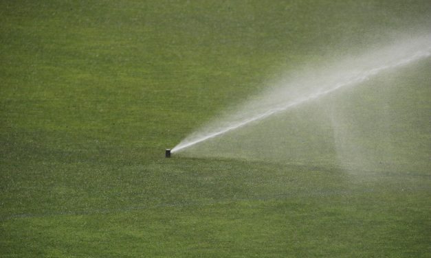 Tuin sproeien is niet nodig