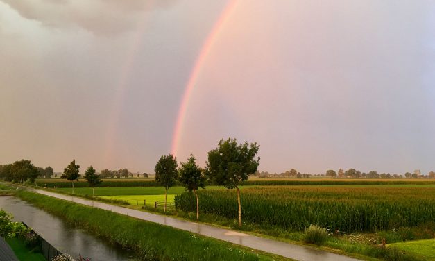 De ochtendstond heeft goud in de mond