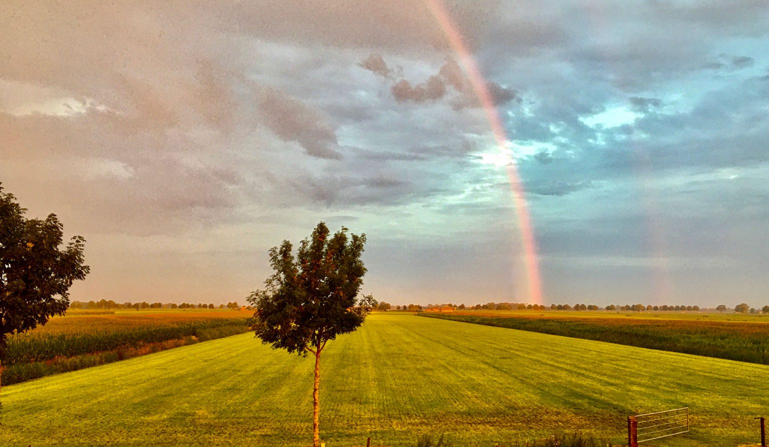 De ochtendstond heeft goud in de mond - Weblog Staphorst Rouveen