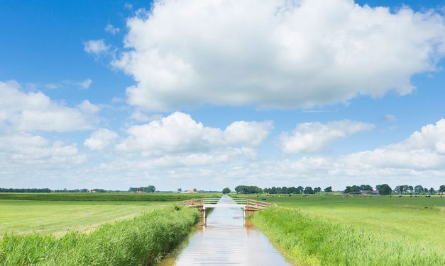 WDODelta gaat door met nieuwe indeling van watergangen