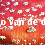 Dit paard dacht zo kan het ook