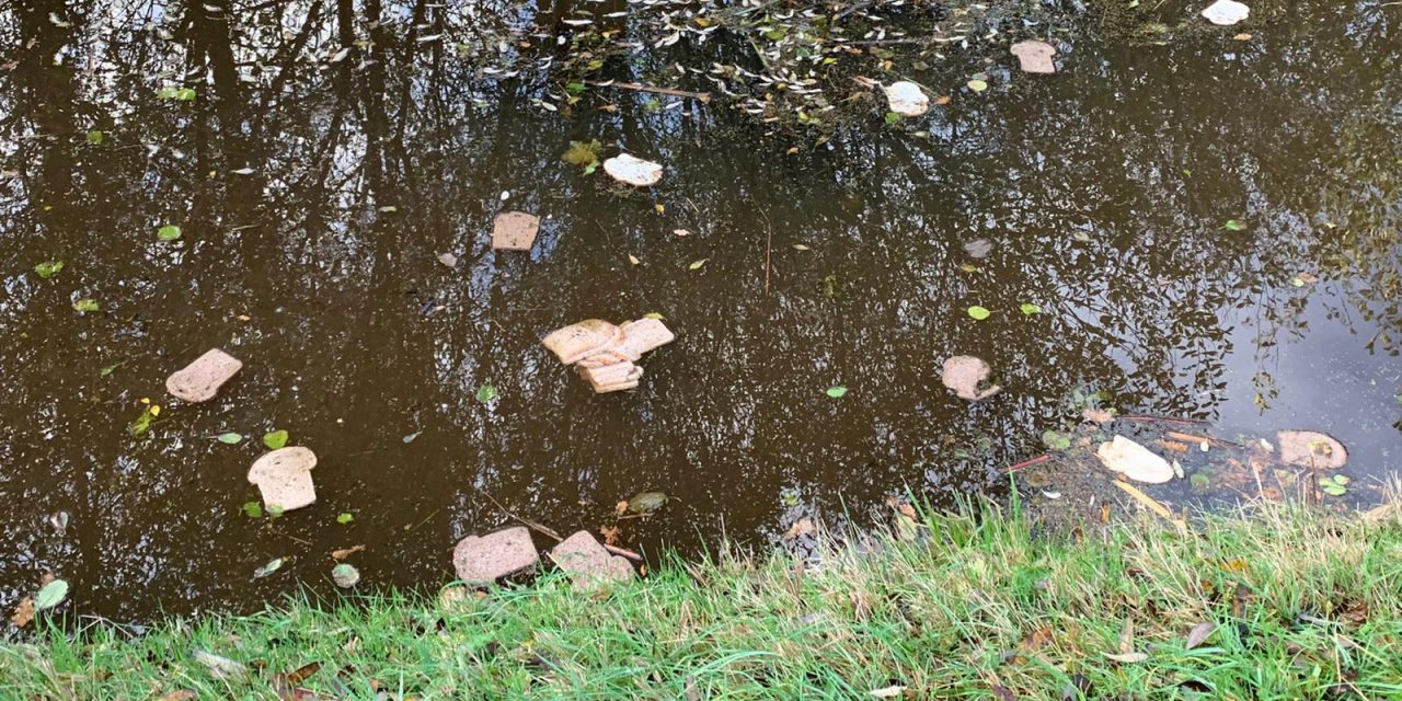 ‘Werp je brood uit op het water’