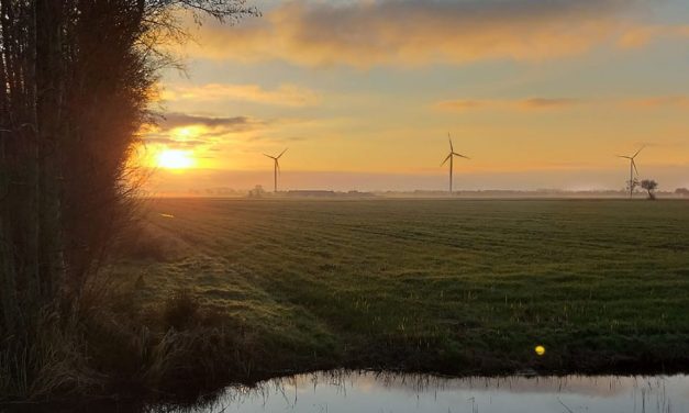 Ondertussen aan de Statenweg