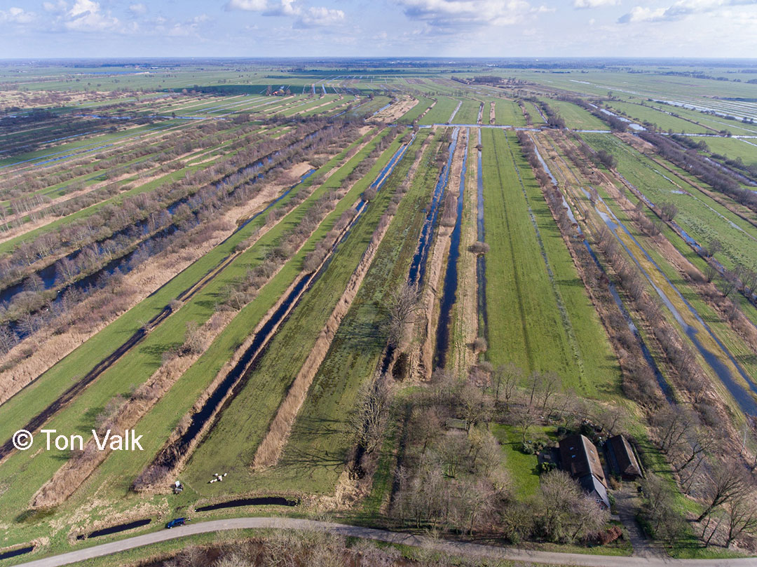 Boksloten en graslanden vrij maken van houtopslag in de Olde Maten