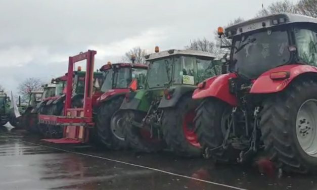 Politieke trekker Drive-in op de Tippe goed bezocht