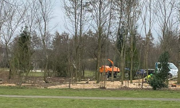 Groot groenonderhoud stuit op teleurgestelde inwoners van Rouveen