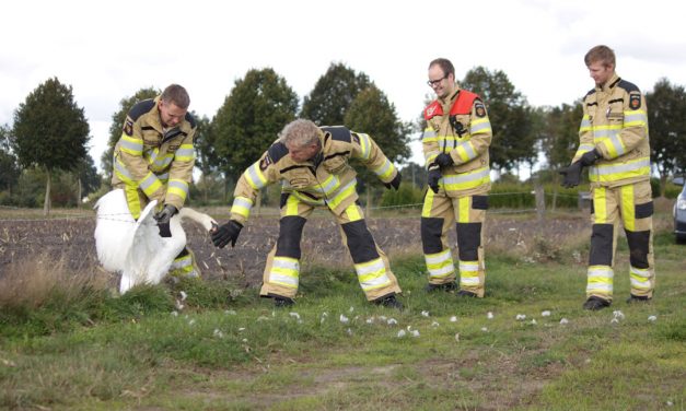 Geen spoed, wel brandweer? Bel 0900-0904