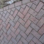 Start bestrijding eikenprocessierups