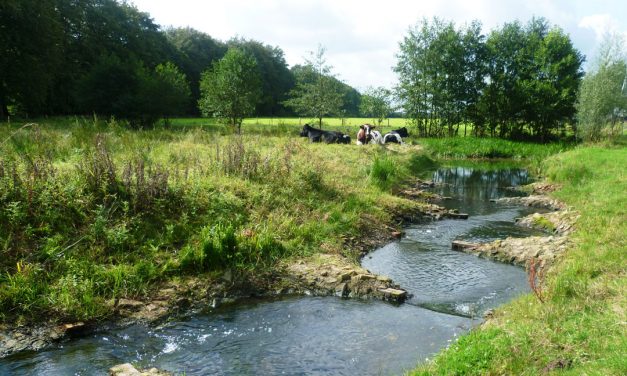 Meer vrouwen bij waterschap in bestuur