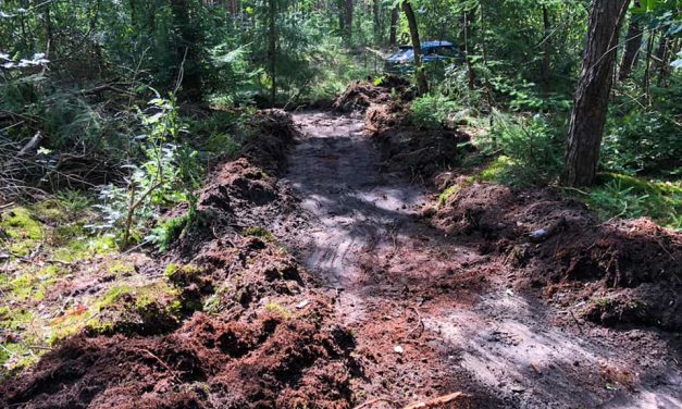 MTB-ers weer druk met route in het bos, verbetering op het Kikkerpad