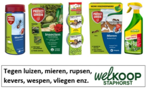 Problemen met luizen, mieren, rupsen, kevers, wespen, vliegen etc.? Welkoop Staphorst helpt u verder