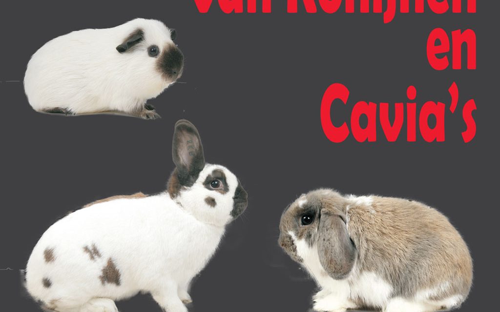 Unieke show cavia’s en konijnen in de sporthal