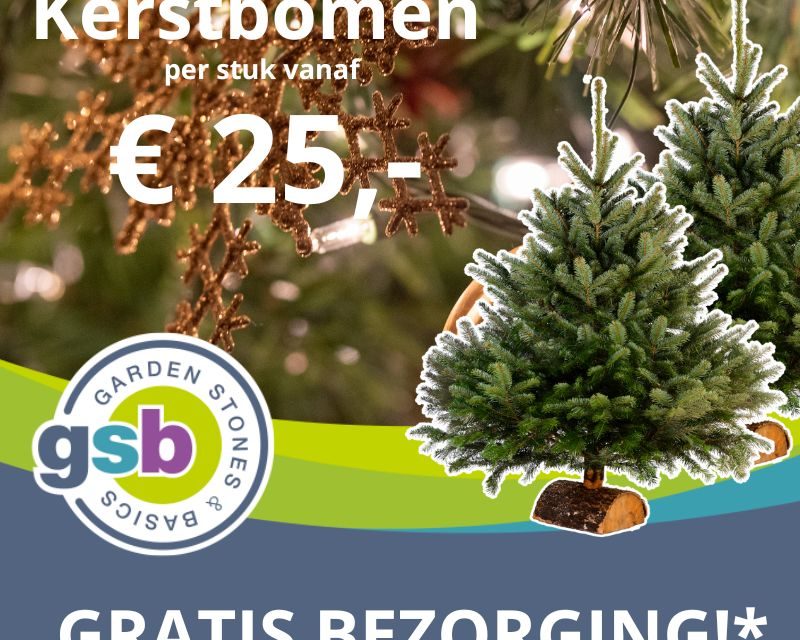 Actie: De mooiste kerstbomen voor de laagste prijs bij SteengoedID