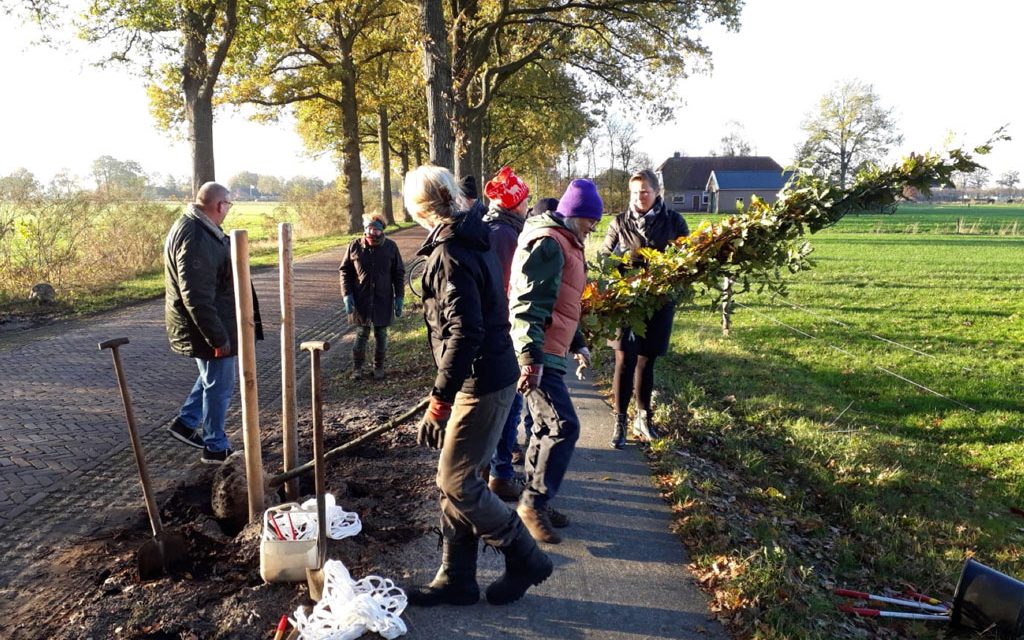 Natuurbeschermingsvereniging ‘IJhorst-Staphorst e.o.’ plant bomen in alle 4 dorpskernen