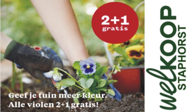 Welkoop: Alle violen 2+1 gratis!