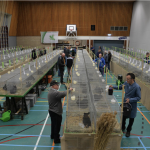 Staphorster Kleindierteelt Vereniging (SKV) – zaterdag 1 april – Open Huis