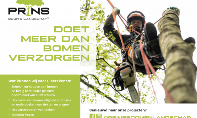 Prins Boom & Landschap doet meer dan bomen verzorgen!