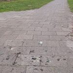 Baldadigheid in zuid