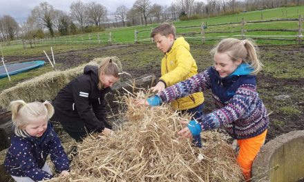 Help mee broeihopen maken voor de ringslang!
