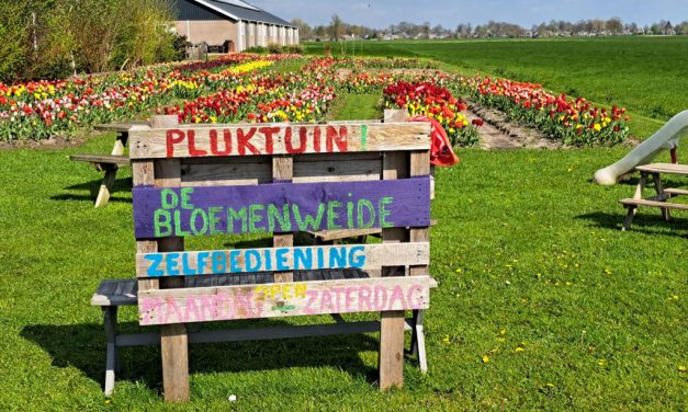 Kom naar Pluktuin de Bloemenweide in Rouveen