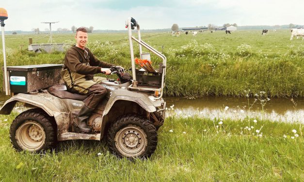 Muskusrattenbestrijders speuren vaker op quads