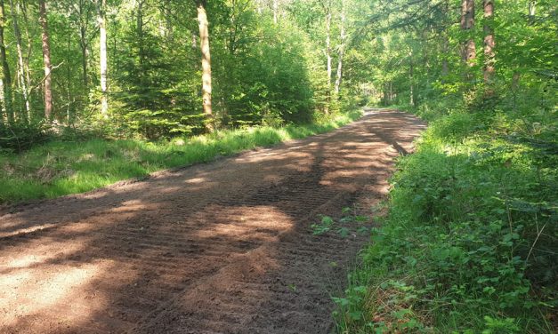 Meerdere zandwegen in staatsbos gefreesd