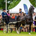 Voor de 60e keer Paardenconcours in Rouveen