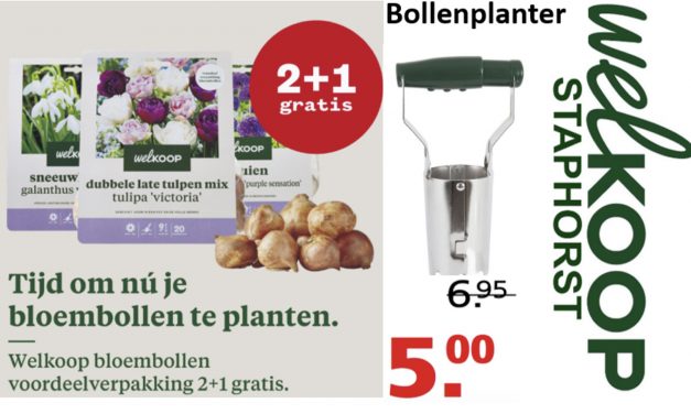 Welkoop Staphorst: nu tijd om je bloembollen te planten