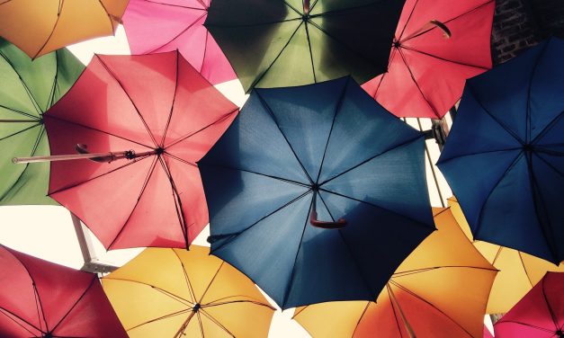 Goederenverzekering versus inventarisverzekering: wat is het verschil?