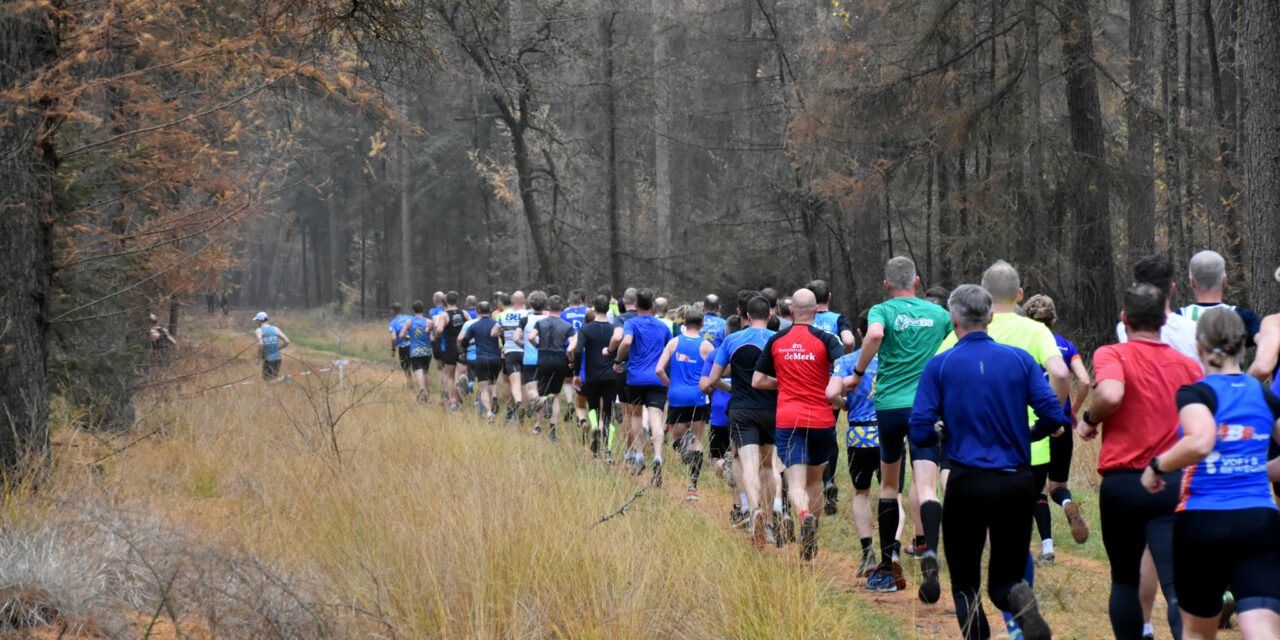 Honderden hardlopers verwacht bij Zwarte Dennen Cross