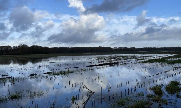 Westenwind en neerslag zetten kerstpiek op waterstanden
