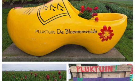 Pluktuin de Bloemenweide