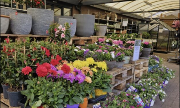 Aanstaande zaterdag (20 april) plantjesmarkt bij Welkoop Staphorst