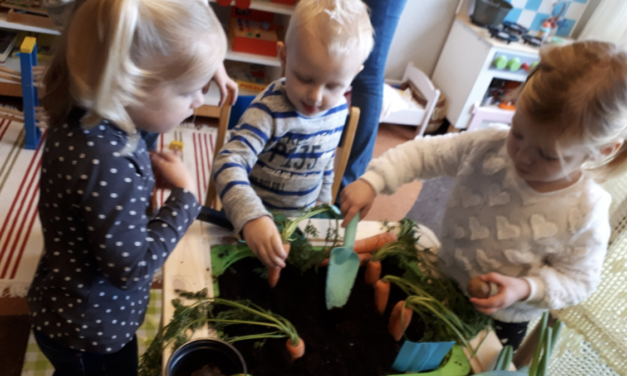 Open Dagen Royal Kids