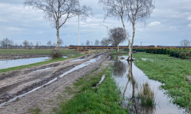 Vele regen zorgt voor hoge grondwaterstanden en natte akkers