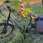 Pluk ook dit jaar weer gratis zonnebloemen
