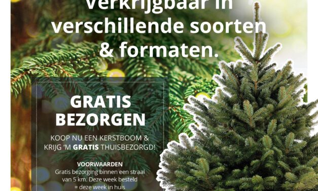 Kerstbomen – Ze zijn er weer!