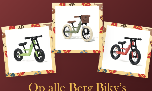 Sinterklaas actie van bigoutdoortoys