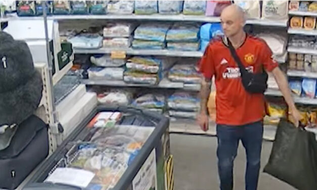 Dief steelt alles wat los en vast zit in Staphorst (Video)