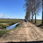 Lopers Bos Bedden Loopgroep AG ’85 bij diverse wedstrijden actief