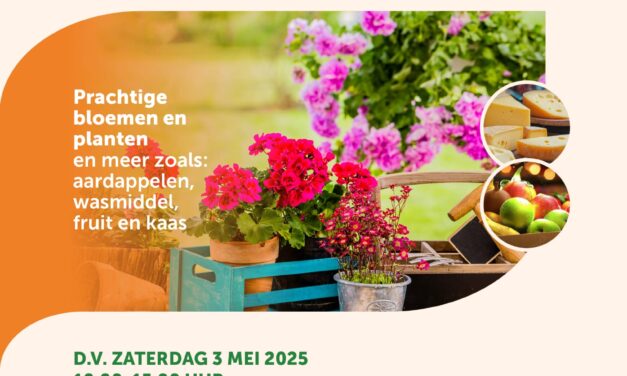 Lentemarkt D.V. zaterdag 3 mei