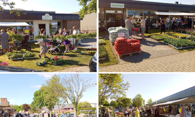 Mooie opbrengst Lentemarkt Adullam